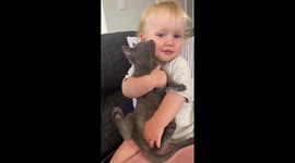 Adorable toddler cuddles his new kitten in New Zealand