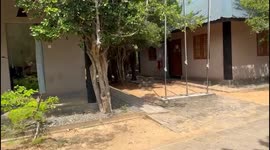 Elephant roam inside a hotel in yala national park in Sri lanka.