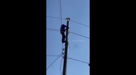Heroic rescue: Dagestan electrical worker saves cat stuck on power pole