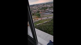 Giving a Wild Falcon a Drink of Water