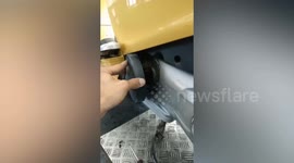 Bees build nest inside Vespa motorcycle