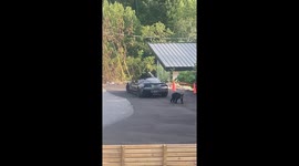 Black Bear Climbs Out of Corvette