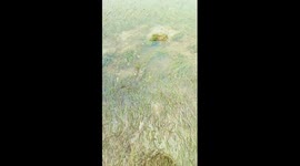 Surprising Find in the Water