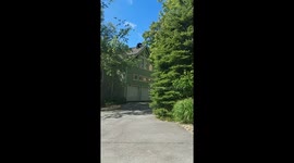 Roof Bear