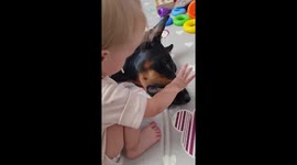 Little Dentist Checks Dog's Teeth