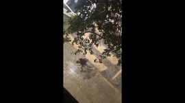 Vehicles plough throw deep floodwater submerging streets in Valencia