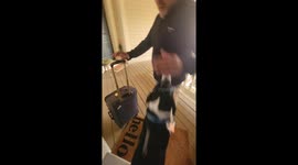 Puppy Is Excited To See Family