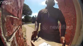 Tiny Dog Chases UPS Delivery Man