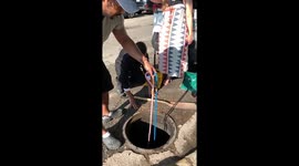 Group Work To Rescue Ducklings From Sewer