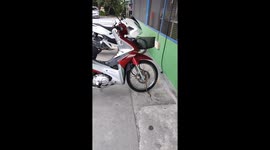 Baby python snake coils round motorcycle front wheel