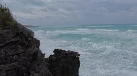 Bermuda: Rough Seas Begin To Pound Coastline As Hurricane Lee Approaches