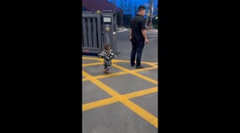 Baby excitedly rushes up to greet elder sister after school in China