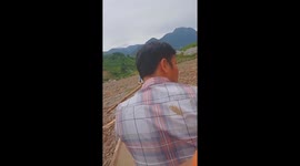 Hundreds of uprooted trees line river's surface following flooding in northern Vietnam