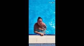 Woman's bikini top mishap on pool slide makes her the center of attention