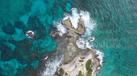 Turtle hatchlings journey from eggs to sea captured by diver in Mexico