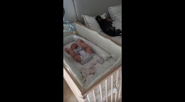 Caring dachshund calms crying baby by laying next to it