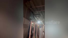 Brave resident catches large python hiding ceiling of his home