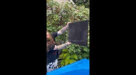 Preserving an Abandoned Spiderweb