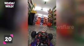 Remote Control Cars Wins and Fails