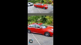 Dogs vs Delivery Drivers