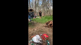 Little Fells Tries To Knock Over Big Fella