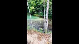 O rio da roça do meu vovô, muito bonito as águas correndo na natureza muito tranquilo