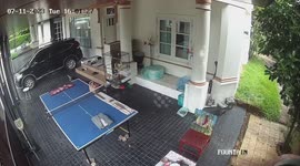 Housewife chases away hungry monitor lizard trying to eat her pet bird