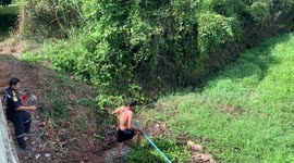 Hero teenager wades through swampy stream to save injured dog