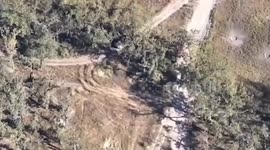 Ukrainian destroys Russian armored fighting vehicle hidden under trees
