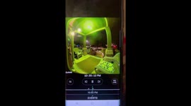 Daughter Dreadfully Dodges Doorbell Camera