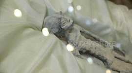 Is it real?! Unearthly findings make for an out-of-this-world Congress session in Mexico