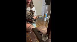 Ring Toss Kitty Wins The Game