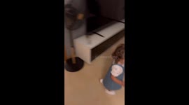 Dog Gets Scolded For His Crimes
