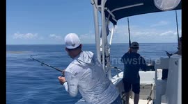 Everyone is hooked on Mahi several miles off the coast of Miami, Florida