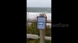 US: Winds Pick Up In Massachusetts As Hurricane Lee Approaches