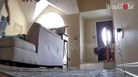 Woman's 'boop' prank on fiancé HILARIOUSLY backfires because of Instant Karma