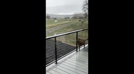 Son Drives Golf Cart Home