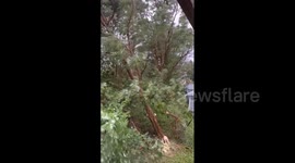 Canada: Lee Makes Landfall In Nova Scotia, Knocking Down Trees And Power Lines