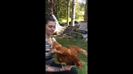 Chicken therapy is a magical enchantment when chickens and humans can affectionally interact