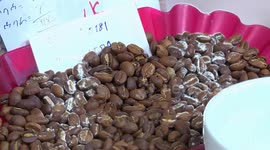 Ethiopian coffee exporters seize opportunities in thriving Chinese market