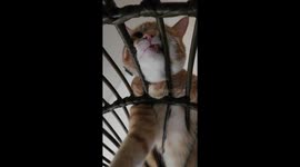 He's beauty, He's grace, He's got feeties in my face