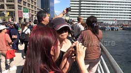 World's largest rubber duck draws thousands of visitors to Toronto waterfront
