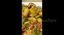 Chinese woman finds wriggling maggots in her takeaway meal