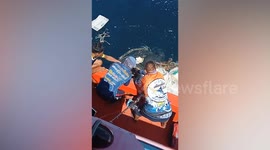 Fishermen release sea turtle tangled in ghost net in Thailand