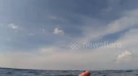 Philippine military finds 'severely damaged reefs caused by Chinese harvesting' in disputed waters