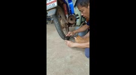 Helpful tabby cat joins owner to repair motorcycle tire