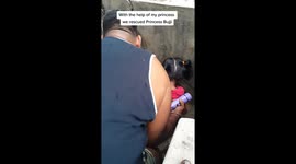 Brave little girl crawls inside sewer to save trapped puppy