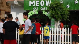 Visitors flock to cat cafe in Gaza where felines roam free