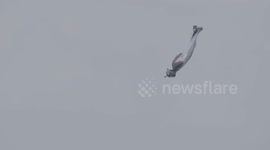 Arlou wins air racing title at Wingsuit World Championship