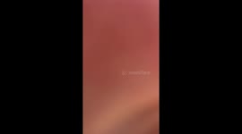 Tourist Tumble When Faced With Bike